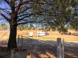 Wombat Recreation Sports Oval and Campground - Wombat: Nice shady spots all over the place.