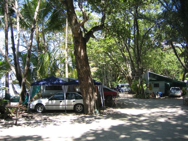 Wonga Beach Caravan & Camping Park - Wonga Beach: Powered sites for caravans