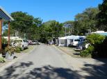 Woodgate Beach Tourist Park - Woodgate: Powered sites showing good road