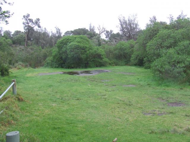 Reeves Beach Coastal Reserve - Woodside: some sites can get a bit damp