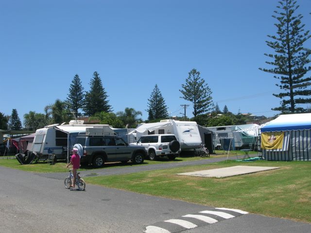 Woolgoolga Beach Caravan Park 2011 - Woolgoolga: Powered sites for caravans