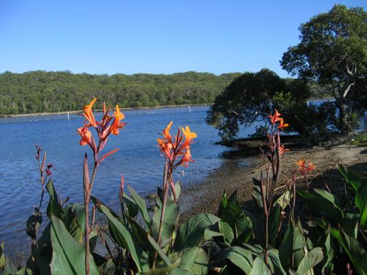 BIG4 Solitary Islands Marine Park Resort - Wooli: Flowers beside the inlet