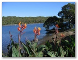 BIG4 Solitary Islands Marine Park Resort - Wooli: Flowers beside the inlet