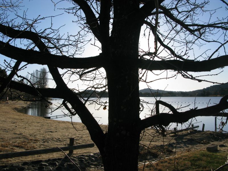 Lakeside Rest Area - Yarralumla: Lake afternoon lake views