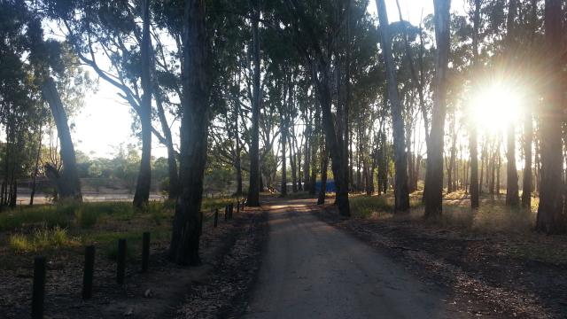 Green Bank - Yarrawonga: Narrow access road. 