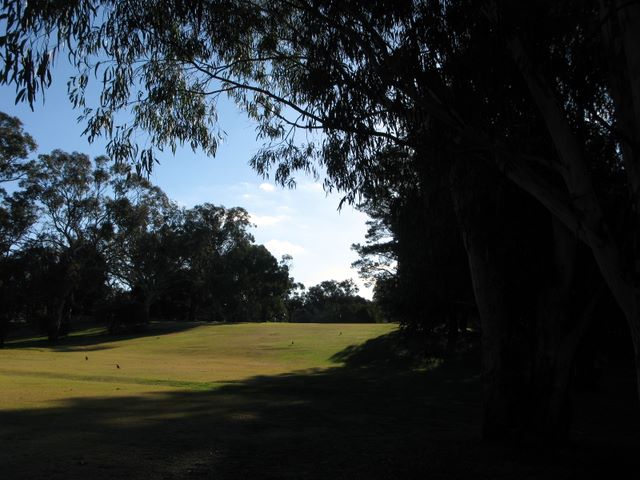 Yass Golf Course - Yass: The fairway turns towards the right