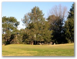 Yass Golf Course - Yass: Green on Hole 3