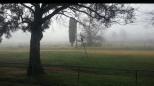 Yass Showground - Yass: View on a foggy morning