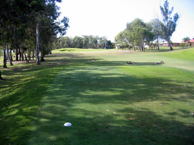 Yeppoon Golf Course - Yeppoon: Fairway view Hole 17
